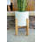 Shayla Ceramic Pot Planter-594544693