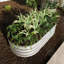 Jardinière surélevée galvanisée-1311398496-1311398499