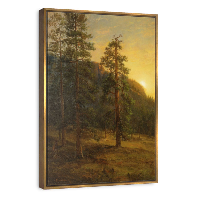 California Redwoods 1872, Floating Frame Gold, 29" x 43"