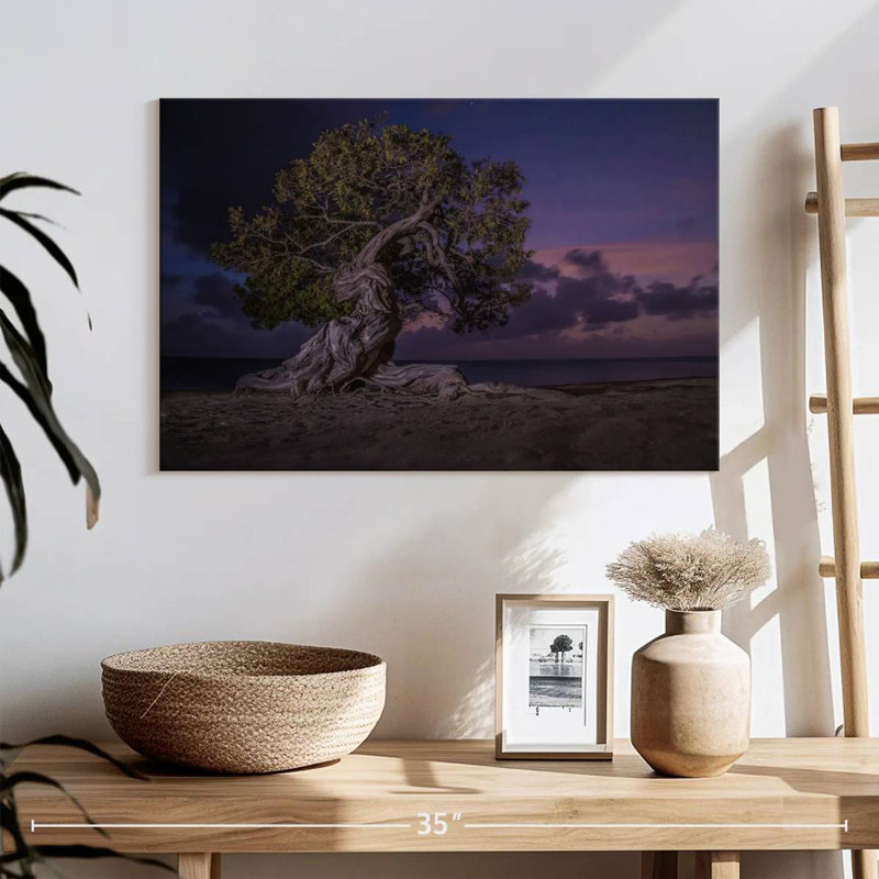 Arbre Aruba Divi Divi la nuit, H 16 po x l 24 po