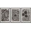 Fleurs et fruits abstraits botaniques 3 pièces-91875304-91875305