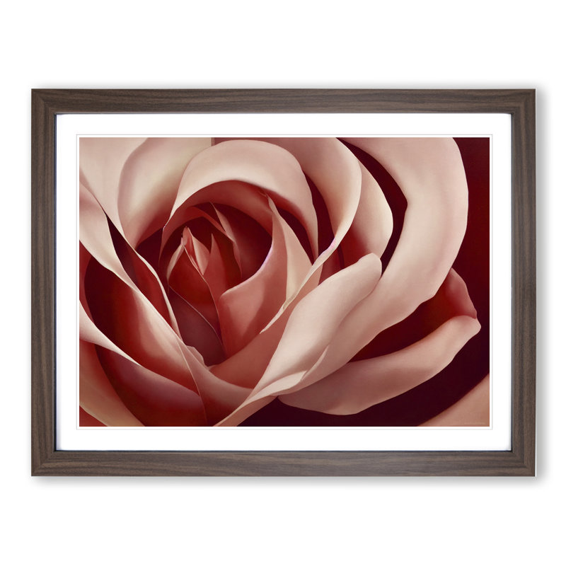 Unforgettable Rose Flower - Framed Print, 46cm H x 64cm W x 2cm D, Walnut