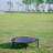 Kozart Round Kid / Toddler Trampoline