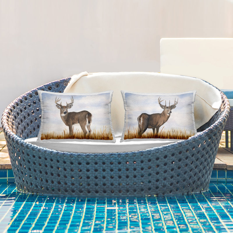 Outdoor Throw Pillow