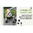 Pet Stroller Foldable Travel Crate With Detachable Carrier For Small And Medium Dog And Cat
