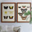 «Vintage Butterflies I», ensemble de 2 reproductions d'art sur toile-1971665131-1971665134