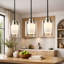 1 Light Pendant With Clear Glass And Inner Shade In Etched Opal