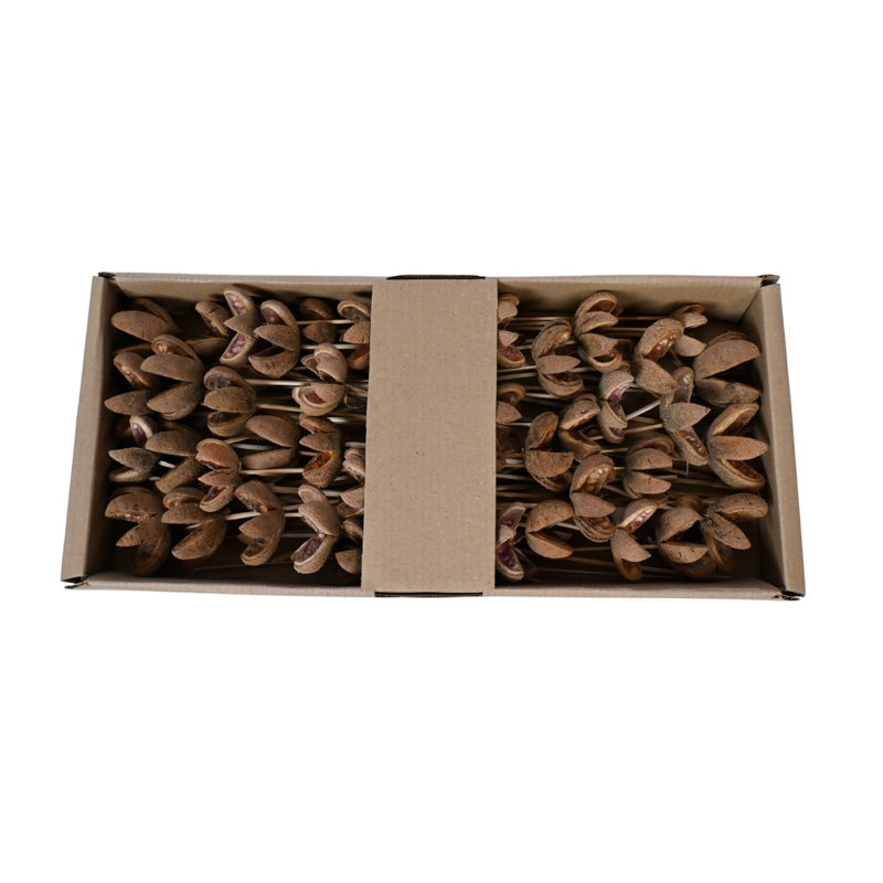 Wild Orange On Stem 40Pc Tray