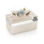Festooned in Stones Box with Celestite