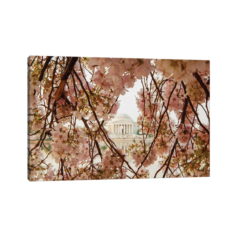 Cherry Blossom Flowers in Washington DC 1 Piece Wall Art on Canvas, 20.32cm H x 30.48cm W x 1.91cm D, Wrapped Canvas