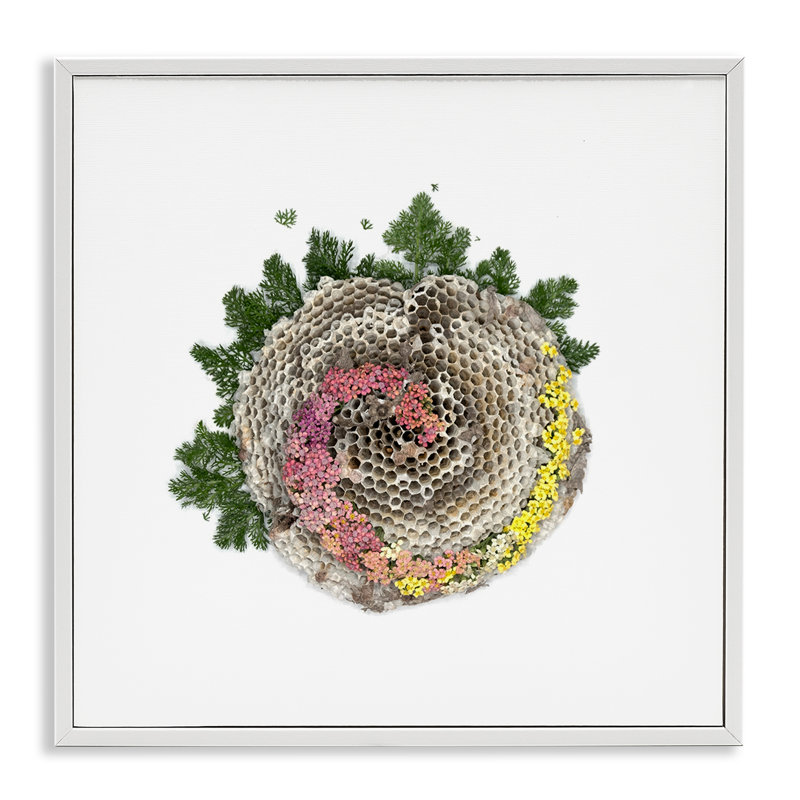 Giclée encadrée Honeycomb with Botanicals, design par Beth Adoette, Encadrement giclée blanc côtier, H 24 po x l 24 po