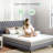 Amaud 8'' Medium Gel Memory Foam Mattress-1882771232