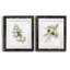 Winter Botanical III - ensemble de 2 reproductions d'art-1084665595-1084665594-1084665596