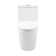 Dreux One Piece Elongated Dual Flush Toilet with 0.95/1.26 GPF