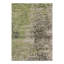 Area Rug in Green