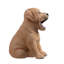 Animals Weather Resistant Polyresin Garden Statue