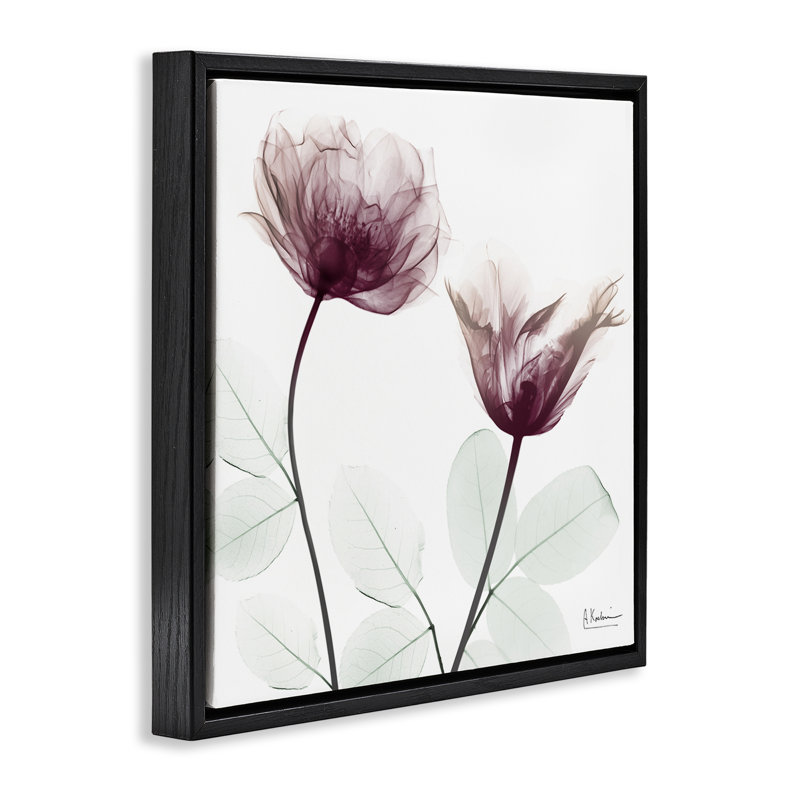 Cadre flottant minimaliste avec fleurs translucides, design par Albert Koetsier, Cadre flottant noir de jais