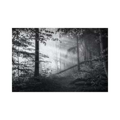 Point of No Return ... 1 Piece Wrapped Canvas Wall Art