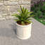 Pot à fleurs Tarneshia-1281903813-1281903835