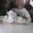 Anglin Landscape & Nature Figurines & Sculptures