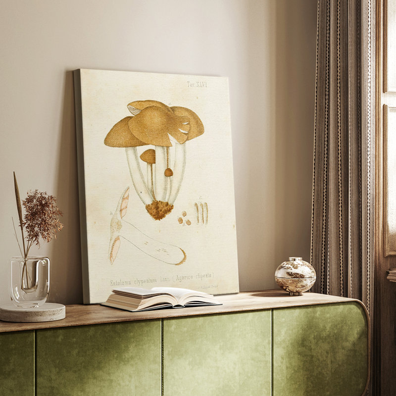 Variétés de champignons V - galerie Cavas sur mesure, H 27 po x l 18 po
