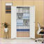 Armoires avec tablettes réglables Portes verrouillables | Acier blanc cassé | Maison / Bureau-20089332