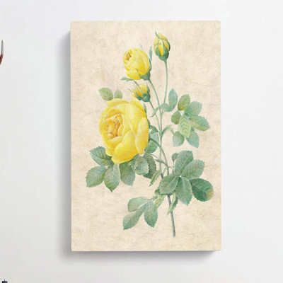 The Yellow Roses by Pierre-Joseph Redoute - Wrapped Canvas Painting
