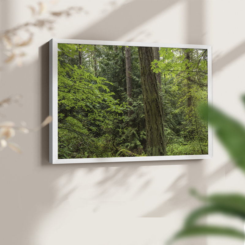 Calm of the Forest - Reproduction encadrée - Restickable, H 8 po x l 10 po, Blanc