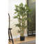 Arbre de bambou artificiel en pot-2131120987