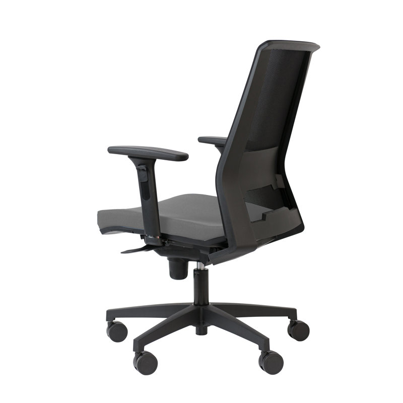 Office Chair, Grey, Adjustable Armrests