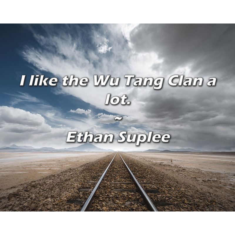 Ethan Suplee Citation: J'aime beaucoup le clan des Tang de Wou., H 20 po x l 24 po