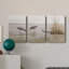 " Early Risers II " 3 - Pieces-388830464