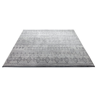 Goku Southwestern Area Rug