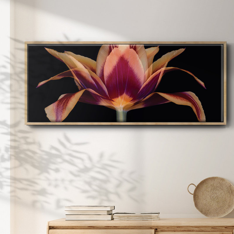 Red Tulip- Framed Canvas, 8" H x 20" W