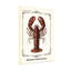 Animaux, homard, illustration, nord, Homare, américain, cadre rétro-671707994