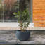 Pot de fleurs en caoutchouc