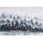 Forêt - peinture sur toile tendue-59397547