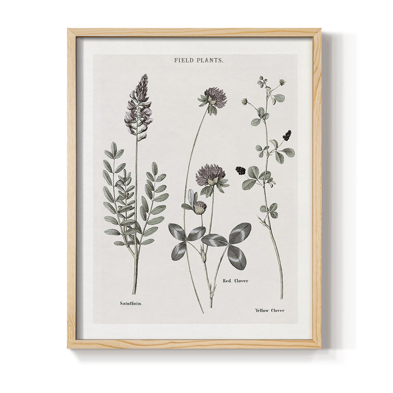Multi Botanical II, reproduction encadrée - bois massif, H 30 po x l 24 po