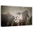 Brampt Appaloosa Herd-107860169