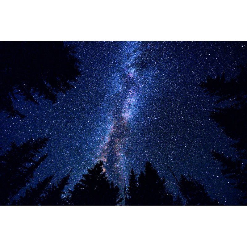 Milky Way Galaxy - Wrapped Canvas Print, 81cm H x 122cm W x 3.8cm D