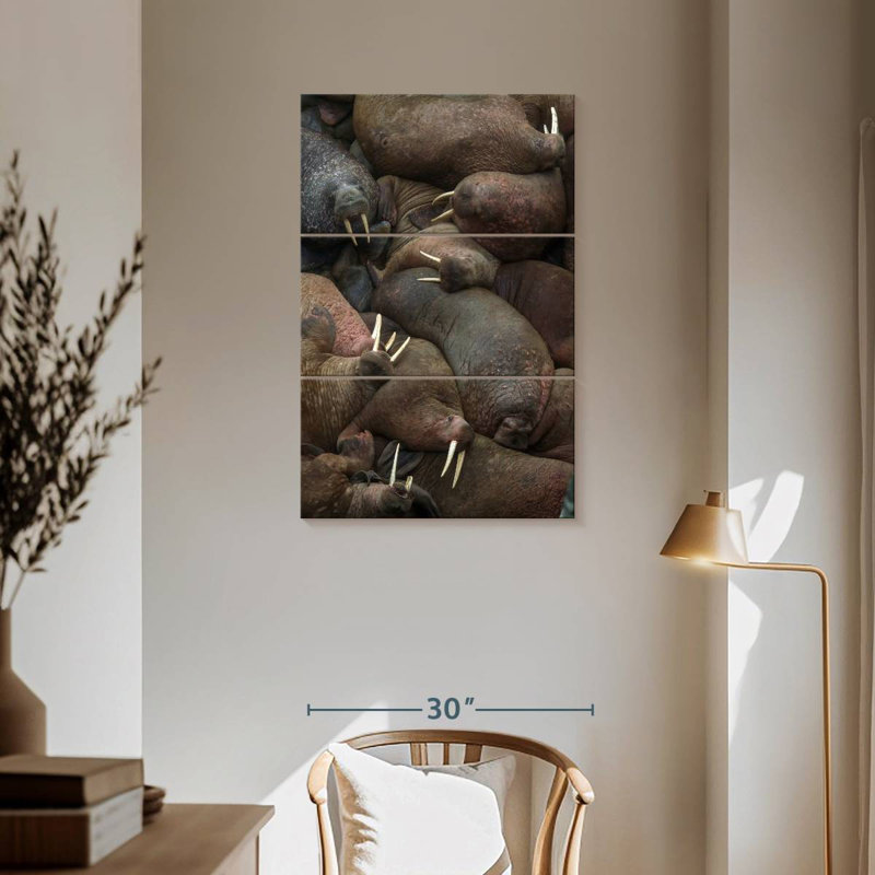 Rookery Brampt Walrus, H 57 po x l 36 po