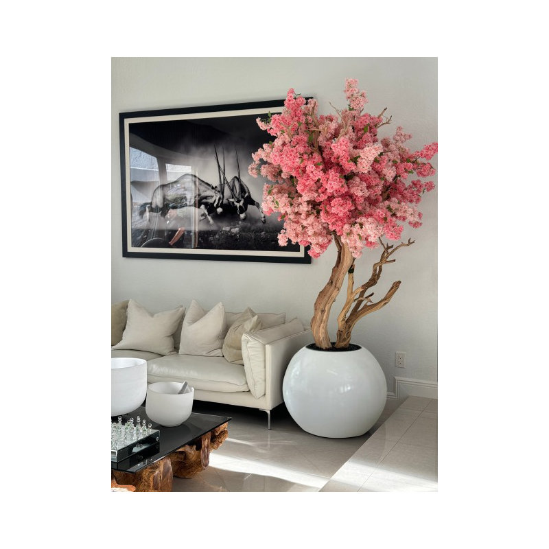 Pink Cherry Blossom Tree In 30" Globe Planter, White