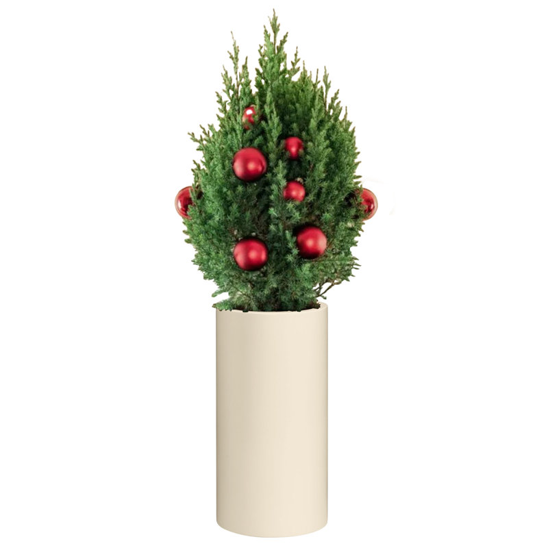 Dorcaster Pot Planter, Tan