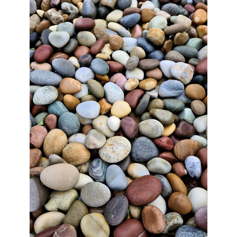 Alcone Stone Plants & Flowers Garden Stone