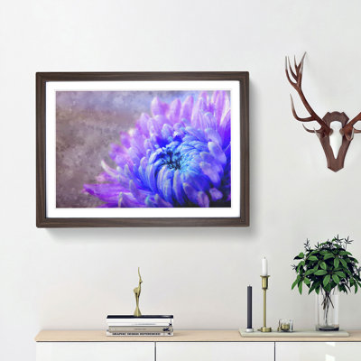 Lilac & Blue Chrysanthemum - Picture Frame Graphic Art Print