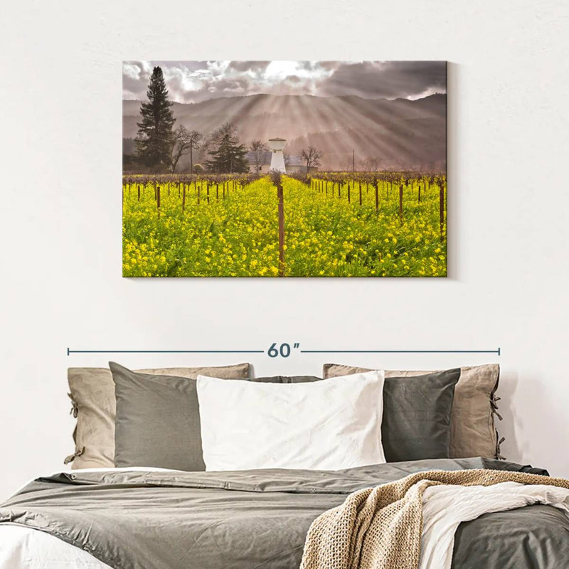 Vignes de Napa Valley, H 30 po x l 45 po