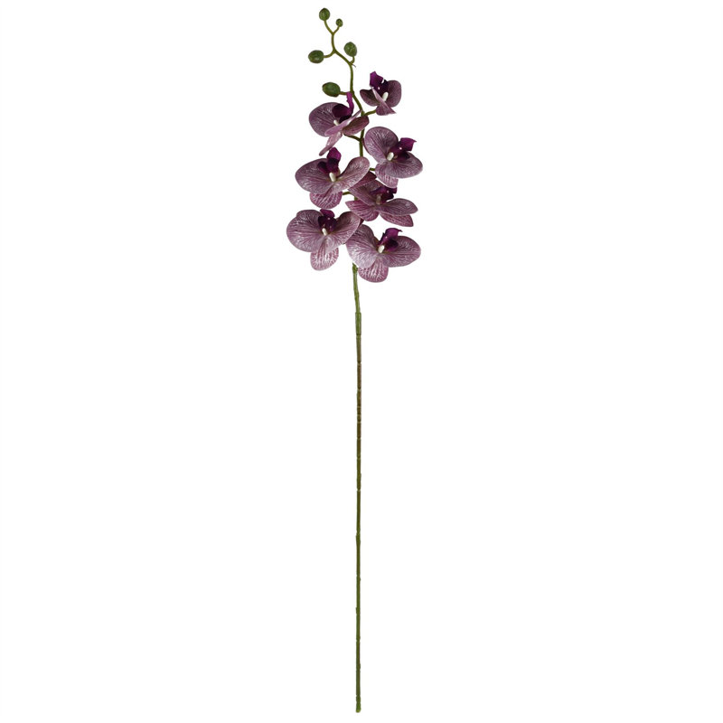 100cm Purple Phalaenopsis Orchid Stem