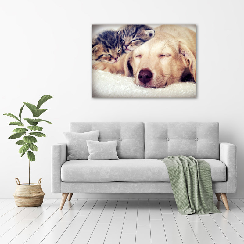 Puppy And Cats - Wrapped Canvas Print