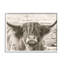 Photographie d'une vache Highland-1023146432-1023146438