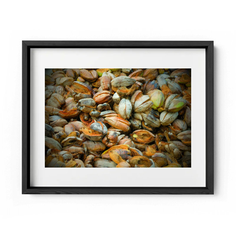 Hazy In The Coconut Print by Joseph Regan, 26" H x 36" W x 0.75" D, Black